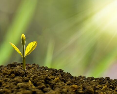 Waarom Nederland zijn klimaatdoelen voor 2030 mogelijk niet haalt